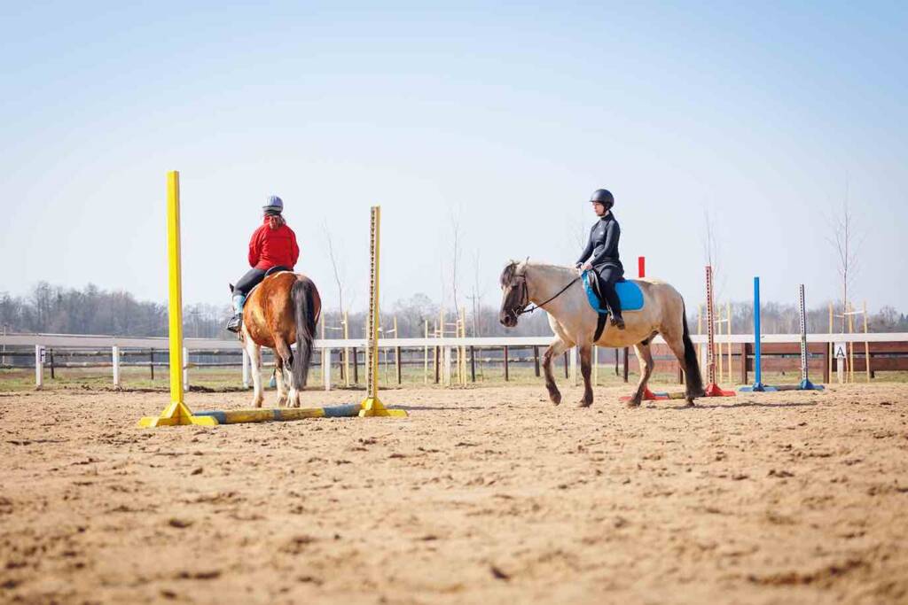 Trening jeździecki Stajnia Kluczbork