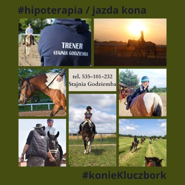 W naszej stajni najważniejsze są: bezpieczeństwo, troska o konie i radość dzieci.
Od lat uczymy jazdy konnej, łącząc pasję z profesjonalizmem. Nasze konie są spokojne, zadbane i przyzwyczajone do pracy z dziećmi. Każde zajęcia prowadzone są przez doświadczonych instruktorów, którzy doskonale wiedzą, jak połączyć naukę z zabawą i dbałością o bezpieczeństwo najmłodszych.
Przyjedź, zobacz, poznaj nasze konie – przekonaj się, że Twoje dziecko jest u nas w dobrych rękach ❤️

www.stajnia-godziemba.com