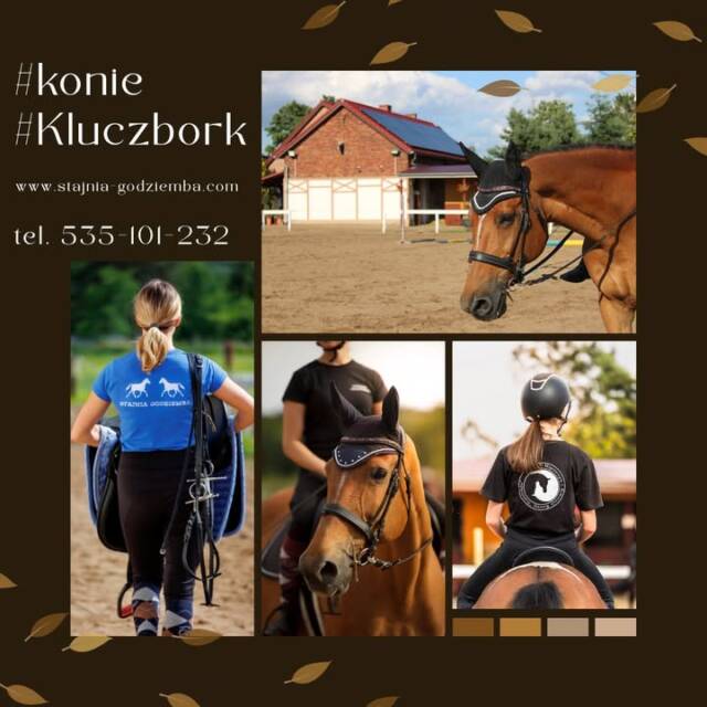 W naszej stajni jeździmy przez cały rok – niezależnie od pogody!
Nasze place są świetnie oświetlone i przygotowane do zajęć nawet po zmroku.
Dzięki regularnym zajęciom na świeżym powietrzu dzieci budują odporność, nabierają siły i energii, a jednocześnie spędzają czas w ruchu, z dala od ekranów.
To inwestycja w zdrowie i uśmiech Twojego dziecka 😊

www.stajnia-godziemba.com