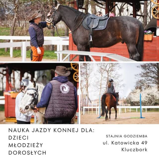 Nasza stajnia znajduje się w Kluczborku – łatwy dojazd, spokojna okolica i bliskość natury.
Dla rodziców przygotowaliśmy dogodne terminy zajęć, stały grafik oraz możliwość jazdy również w soboty.
Niezależnie od wieku czy poziomu – znajdziemy grupę i termin, który będzie pasował Twojemu dziecku (i Tobie 😉).
Zadzwoń, zapisz, przyjedź – zapraszamy serdecznie!

www.stajnia-godziemba.com