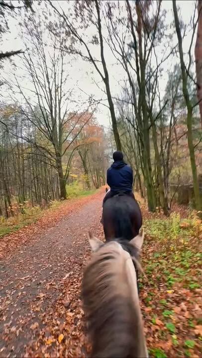 #jesień #w #lesie 🍁🍂🍁🐴