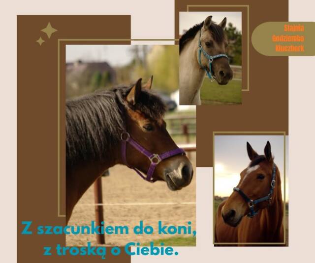 Na końskim grzbiecie świat zwalnia.
Oddech, ruch i zapach lasu sprawiają, że czujesz się częścią natury. Jazda konna to nie tylko sport – to powrót do równowagi, której tak często brakuje w codzienności.

Pozwól sobie na chwilę wolności.
📞 535-101-232
🌐 www.stajnia-godziemba.com