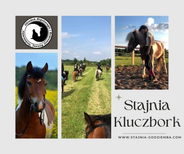Nie lubisz monotonnych ćwiczeń?
Jazda konna to aktywność, która rozwija całe ciało, poprawia postawę, krążenie i oddech, a przy tym nigdy się nie nudzi. Każdy trening to nowa przygoda, niepowtarzalna dzięki relacji z koniem.

Odnajdź radość w ruchu.
📞 535-101-232
🌐 www.stajnia-godziemba.com