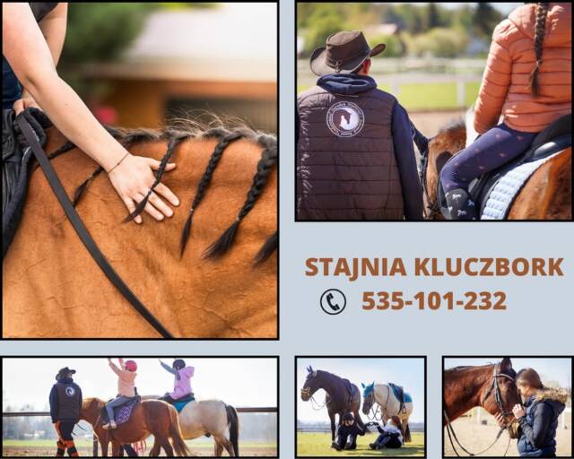 Każdy potrzebuje chwili tylko dla siebie.
Jazda konna pozwala oderwać się od codzienności, wyciszyć myśli i skupić się na tym, co tu i teraz.

Indywidualne jazdy dopasowane do Twoich potrzeb — spokojnie, bez presji.

📍 Kluczbork
📲 Wystarczy SMS

🌐 www.stajnia-godziemba.com

📞 535-101-232

#mindfulness #czasdlasiebie #relaks