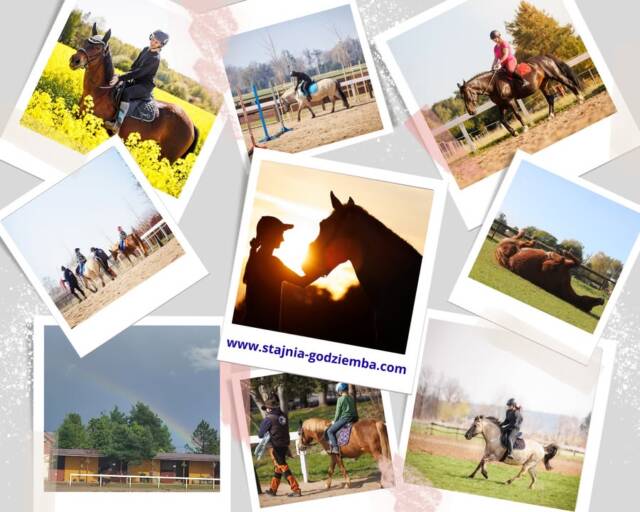 Jeśli czujesz, że potrzebujesz zmiany — zacznij od małego kroku.
Jedna jazda konna może stać się początkiem nowej pasji, lepszego samopoczucia i zdrowszego stylu życia.

Zapraszamy serdecznie do rozpoczęcia swojej przygody z końmi 💚

📍 Kluczbork
📲 Umów się SMS-em

🌐 www.stajnia-godziemba.com

📞 535-101-232

#nowypoczątek #jazdakonna #zapraszamy