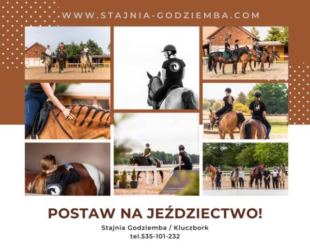 Masz dużo na głowie? Praca, odpowiedzialność, tempo dnia?
Jazda konna to jedna z niewielu aktywności, która jednocześnie wzmacnia ciało i wycisza umysł.
Poprawia równowagę, postawę, koordynację i koncentrację, a przy tym obniża poziom stresu.

To ruch w naturze, bez hałasu i ekranów — dokładnie to, czego potrzebuje dorosły organizm.

📍 Kluczbork
📲 Umów się SMS-em

🌐 www.stajnia-godziemba.com

📞 535-101-232

#dorosłypasja #zdrowybalans #jazdakonna