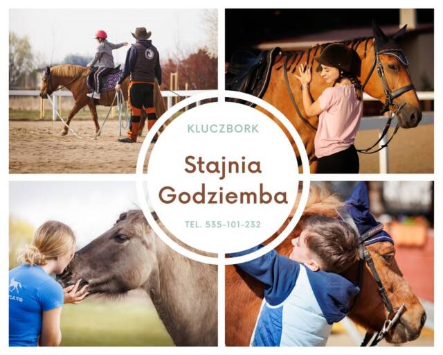 Jazda konna to trening, którego nie czuć jak treningu.
Aktywizuje mięśnie głębokie, kręgosłup, brzuch i nogi, poprawia stabilizację i mobilność stawów.
Jednocześnie uczy oddechu, uważności i pracy z własnym ciałem.

Idealna alternatywa dla siłowni i zamkniętych przestrzeni.

📍 Kluczbork
📲 Wystarczy SMS

🌐 www.stajnia-godziemba.com

📞 535-101-232

#aktywnydorosły #zdrowykręgosłup #ruchwnaturze