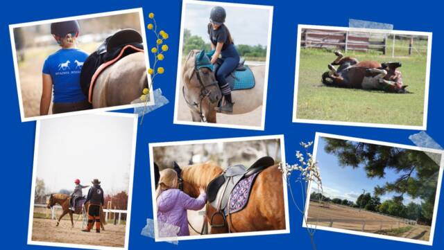 Nie musisz mieć doświadczenia ani „kondycji maratończyka”.
Jazdy indywidualne pozwalają dopasować tempo, intensywność i cel do Twoich potrzeb — rekreacyjnie, zdrowotnie lub relaksacyjnie.

Ty decydujesz, jak wygląda Twój czas.

📍 Kluczbork
📲 Umów się SMS-em

🌐 www.stajnia-godziemba.com

📞 535-101-232

#jazdyindywidualne #komfort #jazdakonna