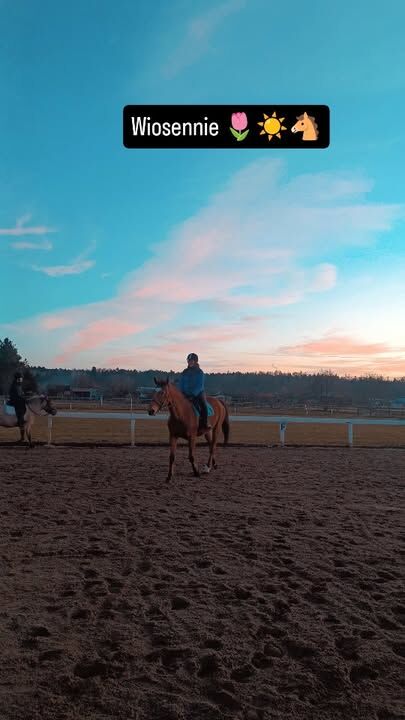 #stajniagodziemba #koniekluczbork #nauka #wiedza #relaks