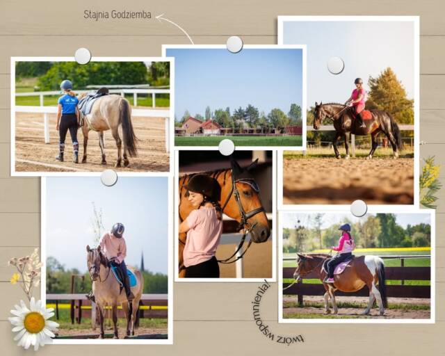 🌸🐴 Wiosna puka do drzwi, a konie już tupią z niecierpliwości! 🐴🌸

Masz dość betonu, korków i rozmów z drukarką w pracy?
U nas odnajdziesz wszystko, czego Ci brakuje: las, wodę, naturę i prawdziwe relacje… takie z ogonem i kopytami. 😄

To idealne miejsce, by:
🌱 nauczyć się pracy ze zwierzętami
🐎 poznać ich zachowania i behawioryzm
🧠 odpocząć i zrelaksować się!

🎯 Co oferujemy?
✅ Naukę jazdy konnej (od „ratunku!” do „patrzcie jak galopuję!”)
✅ Przejażdżki na placu i w terenie
✅ Podstawy zabiegów weterynaryjnych i opiekę nad zwierzętami
✅ Hipoterapię dla dzieci z niepełnosprawnościami

Jeśli czujesz, że Twoje życie potrzebuje więcej świeżego powietrza, śmiechu i sierści na ubraniach —
to znak. 😄
📞 Zadzwoń: 535 - 101 - 232 
🌼 Wiosna nie będzie czekać. Konie też nie! :D 🌼