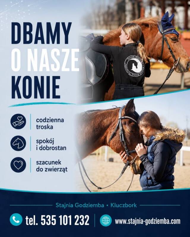 🌿 Jazda konna jako sposób na relaks dziecka po szkole

Po całym dniu w szkole dziecko często jest zmęczone, przebodźcowane i pełne napięcia. Nawet jeśli siedziało wiele godzin w ławce, jego głowa pracowała intensywnie: lekcje, hałas, zadania, relacje z rówieśnikami, wymagania. Dlatego po szkole dzieci potrzebują nie tylko odpoczynku, ale też mądrego rozładowania napięcia.

Jazda konna może być właśnie takim odpoczynkiem.

To aktywność, która łączy ruch i wyciszenie. Z jednej strony dziecko wzmacnia ciało, ćwiczy równowagę, koordynację i koncentrację. Z drugiej — kontakt z koniem, rytmiczny ruch i przebywanie na świeżym powietrzu pomagają się uspokoić.

Koń działa inaczej niż ekran. Telefon często jeszcze bardziej pobudza, rozprasza i wciąga. Koń wymaga obecności. Dziecko musi być tu i teraz. Musi poczuć rytm, posłuchać instruktora, spojrzeć przed siebie, wykonać ćwiczenie. To bardzo zdrowe oderwanie od codziennych bodźców.

Jazda konna pomaga też budować dobre napięcie w ciele. Po zajęciach dziecko może być fizycznie zmęczone, ale psychicznie spokojniejsze. To ten rodzaj zmęczenia, który daje satysfakcję, a nie przeciążenie.

Dzieci uczą się też, że odpoczynek nie musi oznaczać leżenia z telefonem. Odpoczynkiem może być ruch, kontakt ze zwierzęciem, świeże powietrze i skupienie na czymś prawdziwym.

W naszej stajni dbamy o bezpieczną, spokojną atmosferę. Dzieci są przez cały czas pod opieką instruktorów, a konie są przygotowane do pracy z dziećmi i osobami początkującymi.

Jeśli Twoje dziecko potrzebuje aktywności, która pomoże mu odpocząć po szkole, wzmocnić ciało, poprawić skupienie i oderwać się od telefonu — zapraszamy do Stajni Godziemba.

📩 Zapisy SMS: 535 101 232
🌐 Więcej informacji: www.stajnia-godziemba.com
📍 Stajnia Godziemba, Kluczbork