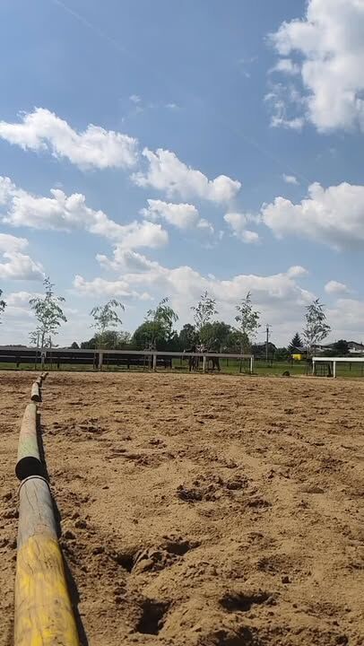 #kluczbork #konie #jeździectwo