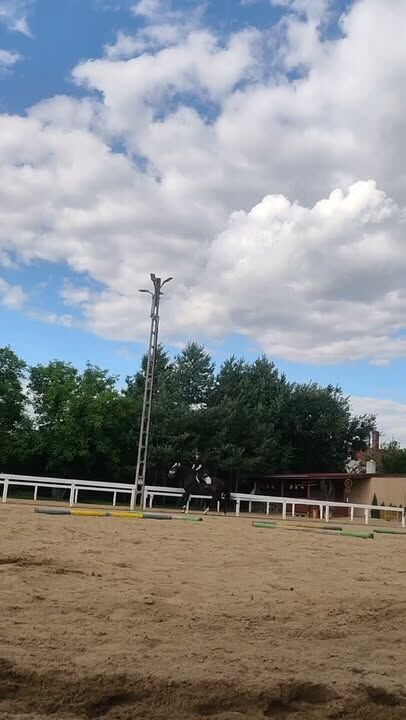 Zapraszamy na lekcje jazdy konnej 🌷