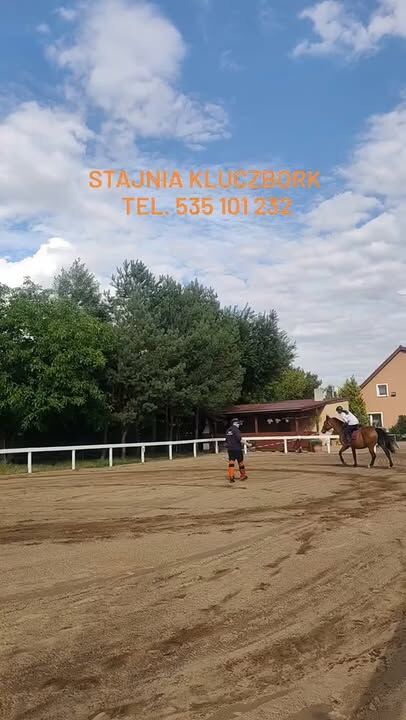 Zapraszamy serdecznie do zapisów 🐴