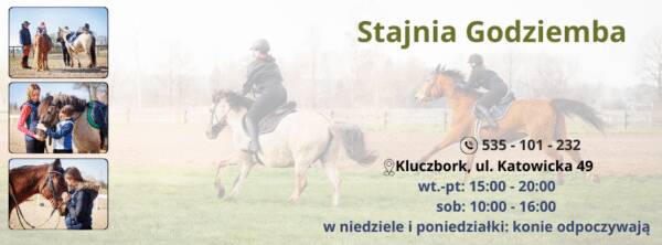 Ośrodek Hipoterapii i Rekreacji Konnej "Godziemba"